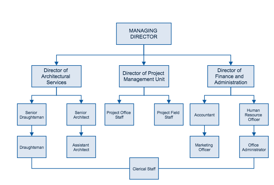 organization structure